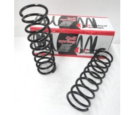 FORD FIESTA- 00/02; ARKA HELEZON YAYI SAĞ/SOL (2Lİ SET)(10X103) (STDR) 96FB5560CA