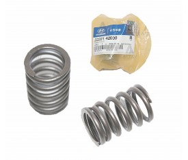 H100 Kamyonet Supap Yayı L300 2222142000