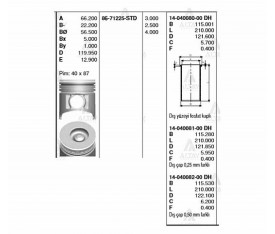 Nqr 70 Piston 110Mm Std 86 71225 Std