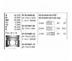 L200 Piston Sekmanlı 2006 Sonrası 16V Tdi 13 Std 8773411